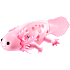 Pets Alive Swimming Axolotls – flere varianter - assorteret