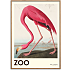 The Zoo Collection Flamingo - 30x40 cm