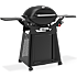 Weber Q3200N+ gasgrill