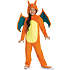 Pokémon Charizard kostume