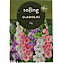 Salling blomsterløg Gladiolus