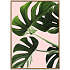 Monsteras in pink - 50x70 cm