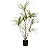 Kunstig plante - dracaena multitrunk