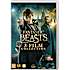 DVD Fantastic Beasts 3 