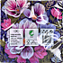 Windsor sommerservietter 33x33 cm 20-pak - valmuer
