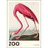 The Zoo Collection, Flamingo - 50x70 cm