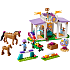 LEGO® Friends Hestetræning 41746
