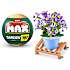 Max Build have planter - Gypsophila