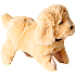 Chi Chi Salto Puppy bamse