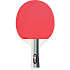 ASG bordtennisbat