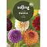Salling blomsterløg Dahlia Mix