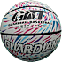 Guardian street basketbold
