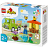 LEGO DUPLO By Pasning af bier og bistader 10419