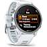 Garmin Forerunner 170 - Whitestone/Cloud Blue