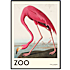 The Zoo Collection Flamingo - 30x40 cm
