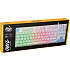 FIFTYSIXTY 5060 owl gaming keyboard