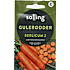 Salling gulerødder Berlicum 2