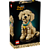 LEGO Icons Golden Retriever hvalp 11384