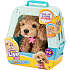 Little Live Pets Really Real Puppy Cavoodlen Curley