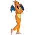 Pokémon Charizard kostume