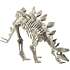 Keycraft Magnoidz 3d dinosaur skelet - assorteret