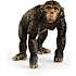 Schleich chimpanse 14883