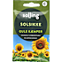 Salling solsikke Gule kæmper