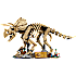 LEGO Jurassic World Dinosaurfossiler: Triceratops 77985