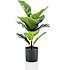Kunstig plante - Ficus lyrata