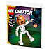 LEGO Creator Sjovt halloween-skelet 30717