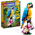 LEGO Creator 3-i-1 Eksotisk papegøje 31136
