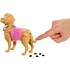Barbie hundetur og træning