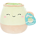Squishmallows samlerplysdyr 19 cm - flere varianter - assorteret