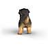 Schleich German Shepard hvalp 14925