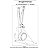 ASG ski ergometer maskine