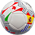 Guardian flag fodbold