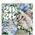 Billedkalender 2026 - kat