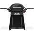 Weber Q3200N+ gasgrill