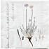 Flora Danica mønstrede servietter 33x33 cm 20-pak