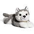 FAO Schwarz Husky bamse 38 cm