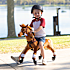 Push pony grace