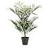 Kunstig areca palme i potte