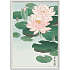 Water lilies, japansk - 30x40 cm