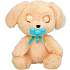 Baby paws labrador bamse 