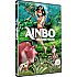 Ainbo