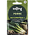 Salling porre De Carentan 2