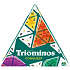 Triominos Conquest