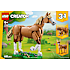 LEGO Creator 3-i-1 Smuk hest 31166