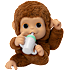 Little Live Pets my baby monkey