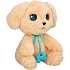 Baby paws labrador bamse 